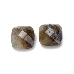Natürliche gemischte Edelstein-Cabochons&nbsp;X-G-D058-03B