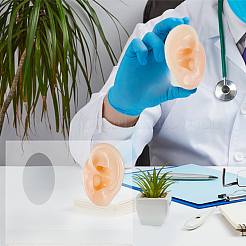 2 шт. 2 стиля силиконовые гибкие модели ушей для демонстрации частей тела ODIS-OC0001-67