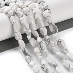 Природные Говлит бисер нитей G-P497-01C-64