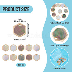 10 шт. натуральные черные шестиугольные подвески-ракушки для губ&nbsp;BSHE-TA0001-25