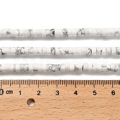 Природные Говлит бисер нитей G-P575-B39-4x2mm