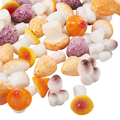 30 шт. 6 стиля серии грибов смоляные украшения для витрины&nbsp;DJEW-TA0001-21