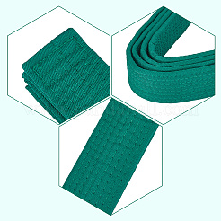 Пояс для тхэквондо&nbsp;AJEW-WH20022-73A-02