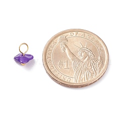 Подвески из натуральных окрашенных ракушек&nbsp;PALLOY-JF01338-01