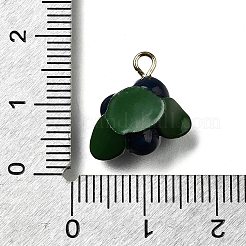 Латунные подвески из акрила OACR-R006-01G-09