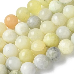 Новых природных нефрита нитей бисера&nbsp;G-F591-16-10MM