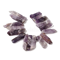 Природный аметист нитей бисера G-S386-D16