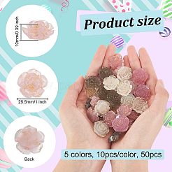 50шт 5 цвета прозрачные кабошоны из смолы CRES-OC0001-09