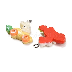 Pendentifs en résine opaque&nbsp;RESI-B047-05
