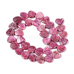 Нити резных бусин из натуральных пресноводных ракушек SHEL-N038-24