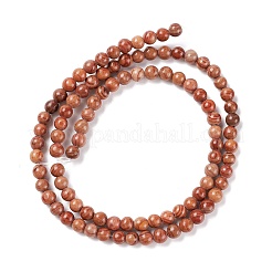 Fili di perline di diaspro naturale linea argento&nbsp;G-P451-02C-B