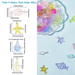 120шт 4 стиля прозрачные акриловые подвески&nbsp;TACR-SP0001-30