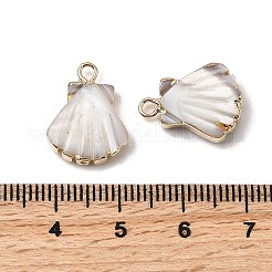 Натуральная ракушка трохида / подвески из ракушки трохуса&nbsp;SHEL-B003-08G