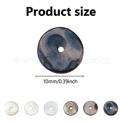 150шт 3 стиля натуральные бусины из пресноводных ракушек SHEL-GO0001-04