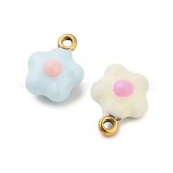 Подвески из нержавеющей стали 304 с эмалью&nbsp;STAS-P417-02G