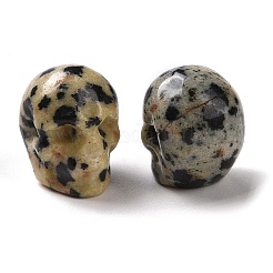 天然ダルメシアンの碧玉ビーズ  ハロウィンの頭蓋骨  11~11.5x8.5~9x11~11.5mm  穴：0.9~1mm&nbsp;G-C038-01R