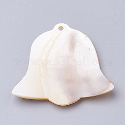 Пресноводных оболочки большие кулоны SHEL-Q019-004