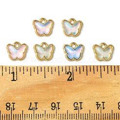 30 шт. подвески из сплава стекла FIND-FS0002-79