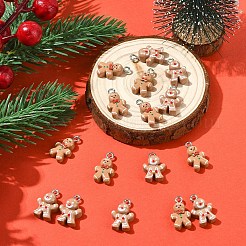 16шт 2 стиля рождественская тема непрозрачные подвески из смолы&nbsp;RESI-YW0005-25