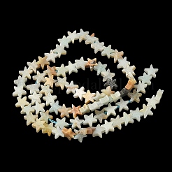 Натуральный цветок амазонитовые бусины пряди&nbsp;G-F817-A17-01