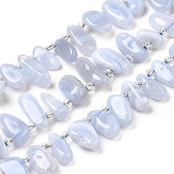 Натуральный голубой кружевной агат с шипами бусины нити G-NH0046-B01-01