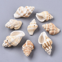 Натуральные спиральные бусы из ракушек SSHEL-S258-75