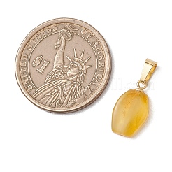 Подвески из натурального янтаря с градиентным цветом&nbsp;PALLOY-JF04930-02