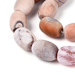 Окрашенные естественный агат бисер пряди&nbsp;G-T144-29