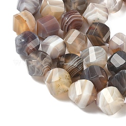 Природные Ботсвана агат бисер нитей&nbsp;G-C267-B09