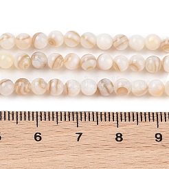 Нити бусин из натуральных пресноводных ракушек&nbsp;SHEL-T011-02-2mm