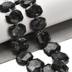 Натуральные нити бус из ларвикита G-H078-B06-01