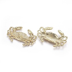 Подвески из сплава  X-TIBEP-A040-016G-NR