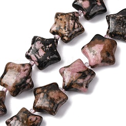 Natur Rhodonit Perlen Stränge&nbsp;G-K359-E08
