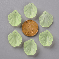 Прозрачные матовые акриловые подвески&nbsp;MACR-S371-01A-728