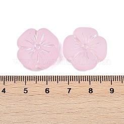 Матовые прозрачные акриловые бусины X1-OACR-P029-19B-05