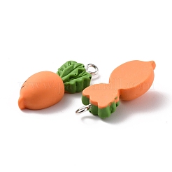 Подвески из смолы&nbsp;RESI-C002-31