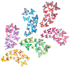 6 цвет искусственных пластиковых украшений в виде бабочек&nbsp;DJEW-CJ0001-01