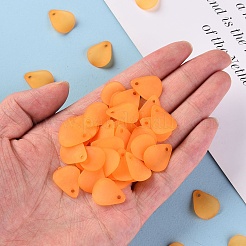 Прозрачные матовые акриловые подвески MACR-S371-09A-724