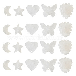 50 шт. 5 стиля кабошонов из натуральной ракушки с кружевной кромкой&nbsp;SHEL-TA0001-17