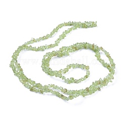 Природный перидот чипов бисер нитей&nbsp;LS-G-O049-B-07