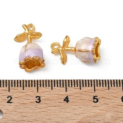 Подвески из эмали и сплава&nbsp;PALLOY-P317-02G-02