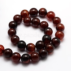 Tinti agata naturale perle tonde fili&nbsp;G-E321B-10mm-02