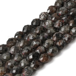 Нити из натуральных сиенитовых бусин&nbsp;G-K376-F09-01