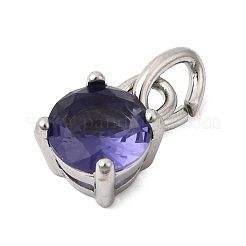 Breloques en acier inoxydable 304 sur le thème de la pierre d'anniversaire de février&nbsp;STAS-B128-60P-02