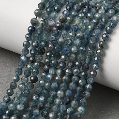 Natürliche kyanit / cyanit / disthen perlen stränge&nbsp;G-G259-D04-3mm