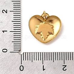 Подвески из нержавеющей стали 304 с эмалью&nbsp;STAS-B093-03G-01