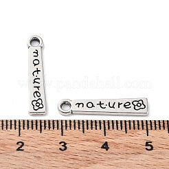 合金のチベット風チャーム  カドミウムフリー＆鉛フリー  花の長方形  アンティークシルバー  22x4.5x1mm  穴：1.8mm&nbsp;FIND-B028-13AS