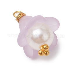 Подвески из акрила с золотой медной проволокой PALLOY-JF03040