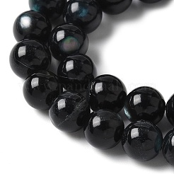 Нити бусин из натуральной черной ракушки для губ SSHEL-C013-01C