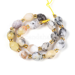 Натуральный цветок опаловых нитей G-N342-53-8x6-14